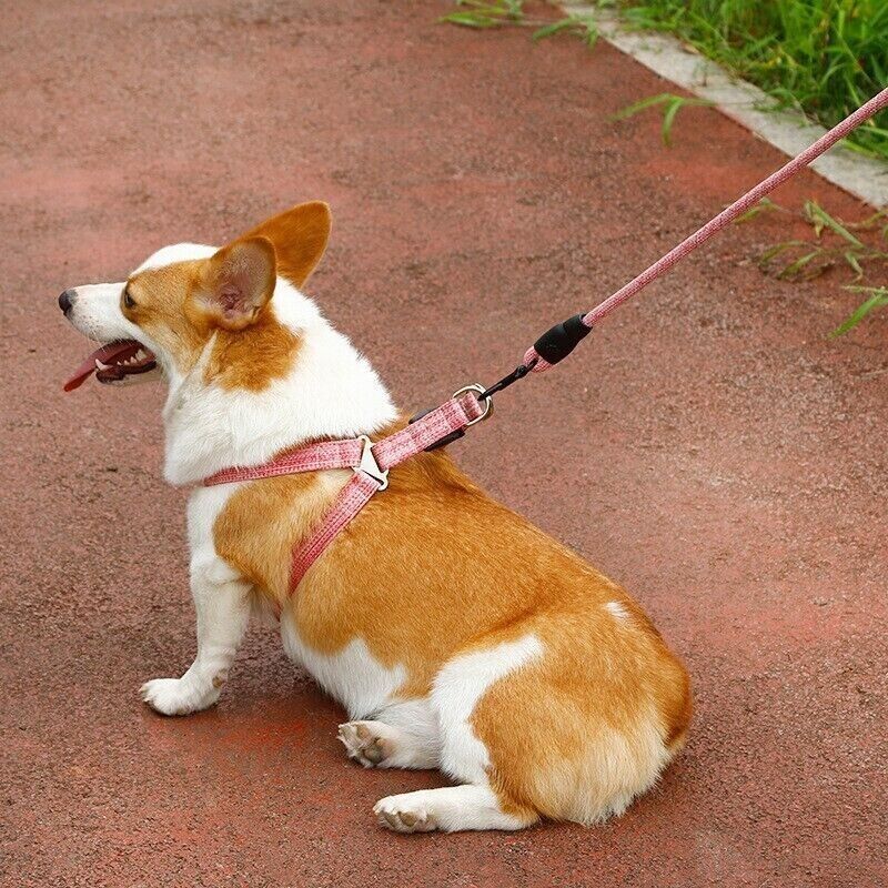 Pet Dog Cat Lead Harness Leash Vest Collar Safe Walking Control Outdoor