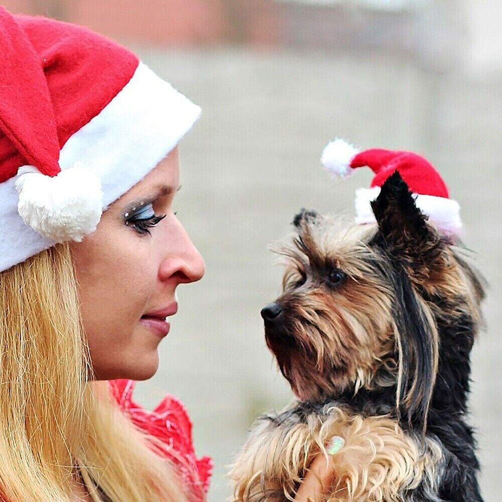 Pet Christmas Decoration Hats Cat Dog Headdress Flannel Shaggy Fluffy Xmas Hat