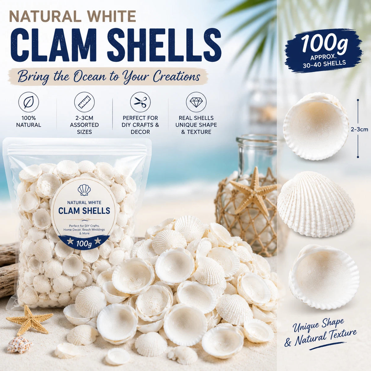 2 Pack White Clam Seashells Shells Craft Jewelery Beads Aquarium Fish Tank Decor 100g Each