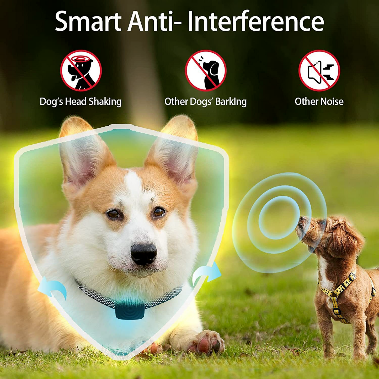 Waterpoof Safe Training Anti Bark No-Shock Dog Collar Rechargeable Stop Barks