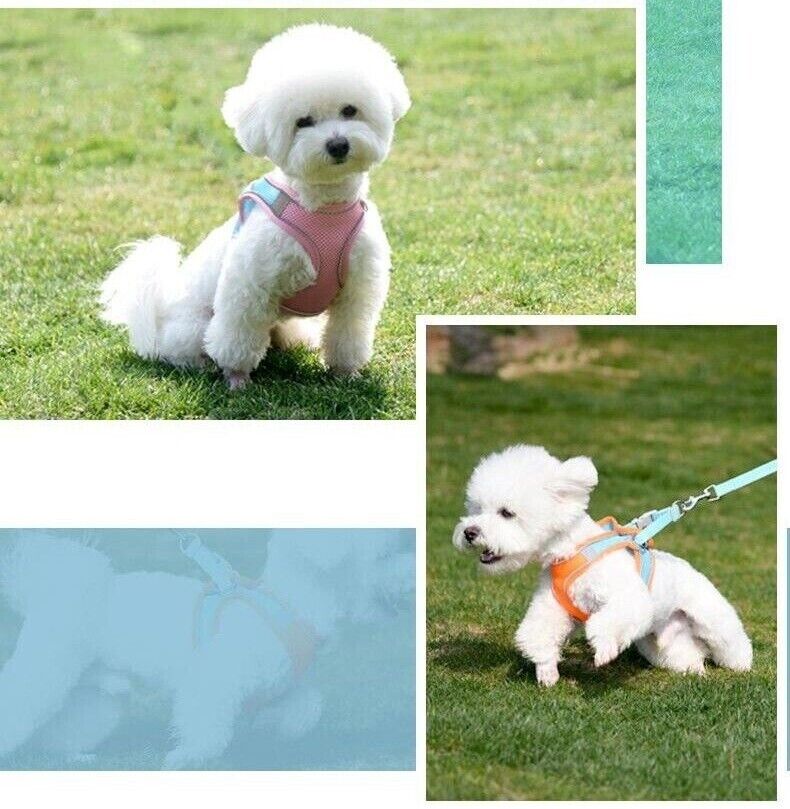 Pet Harness Vest Adjustable Puppy Breathable Mesh Leash Dog Reflective Vest