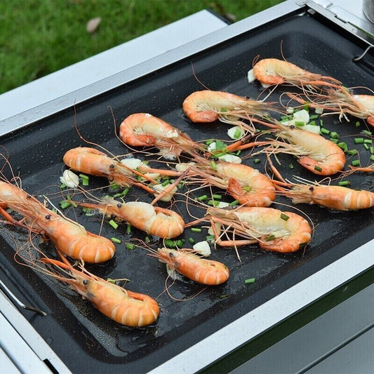 Camping Cooking Large Frying Plate Non-stick Grilled Fish Barbecue Baking Pan