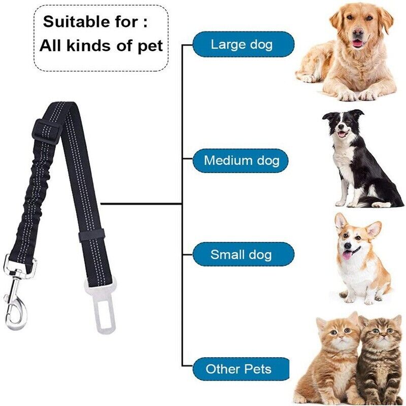Multi-functional Pet Car Safety Rope Retractable Leash Dogs Traction Seat Belt
