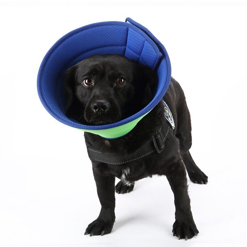 Pet Safety Elizabethan Neck Collar Cat Dog Anti-Bite Scratching Protective Care
