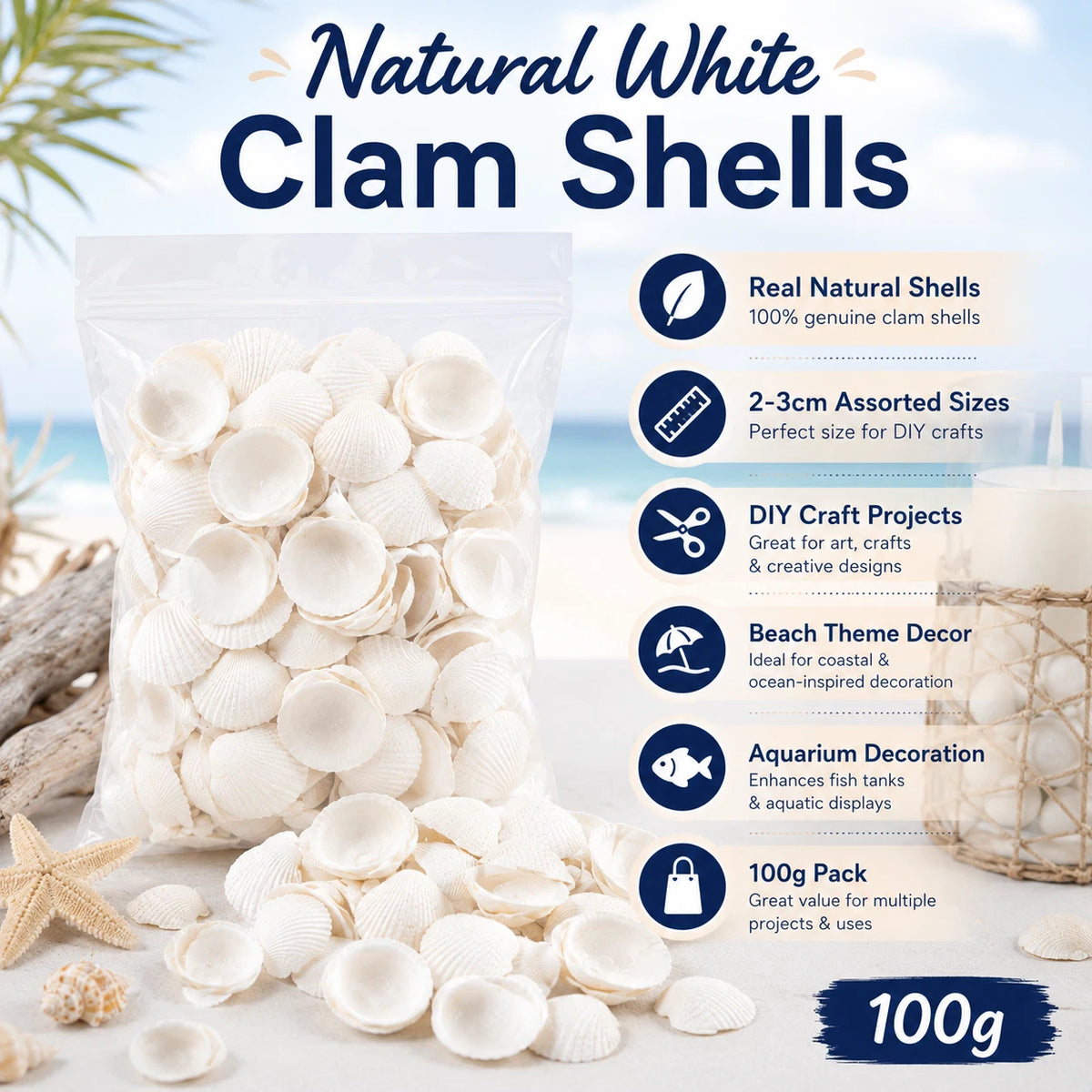 2 Pack White Clam Seashells Shells Craft Jewelery Beads Aquarium Fish Tank Decor 100g Each