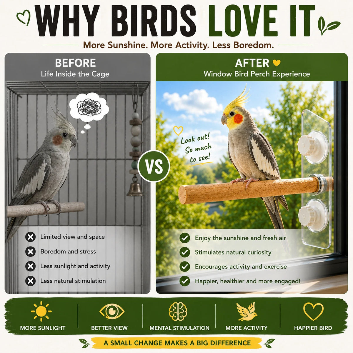 Natural Wood Bird Window Perch 25cm Suction Cup Seat Stand For Budgie Cockatiel