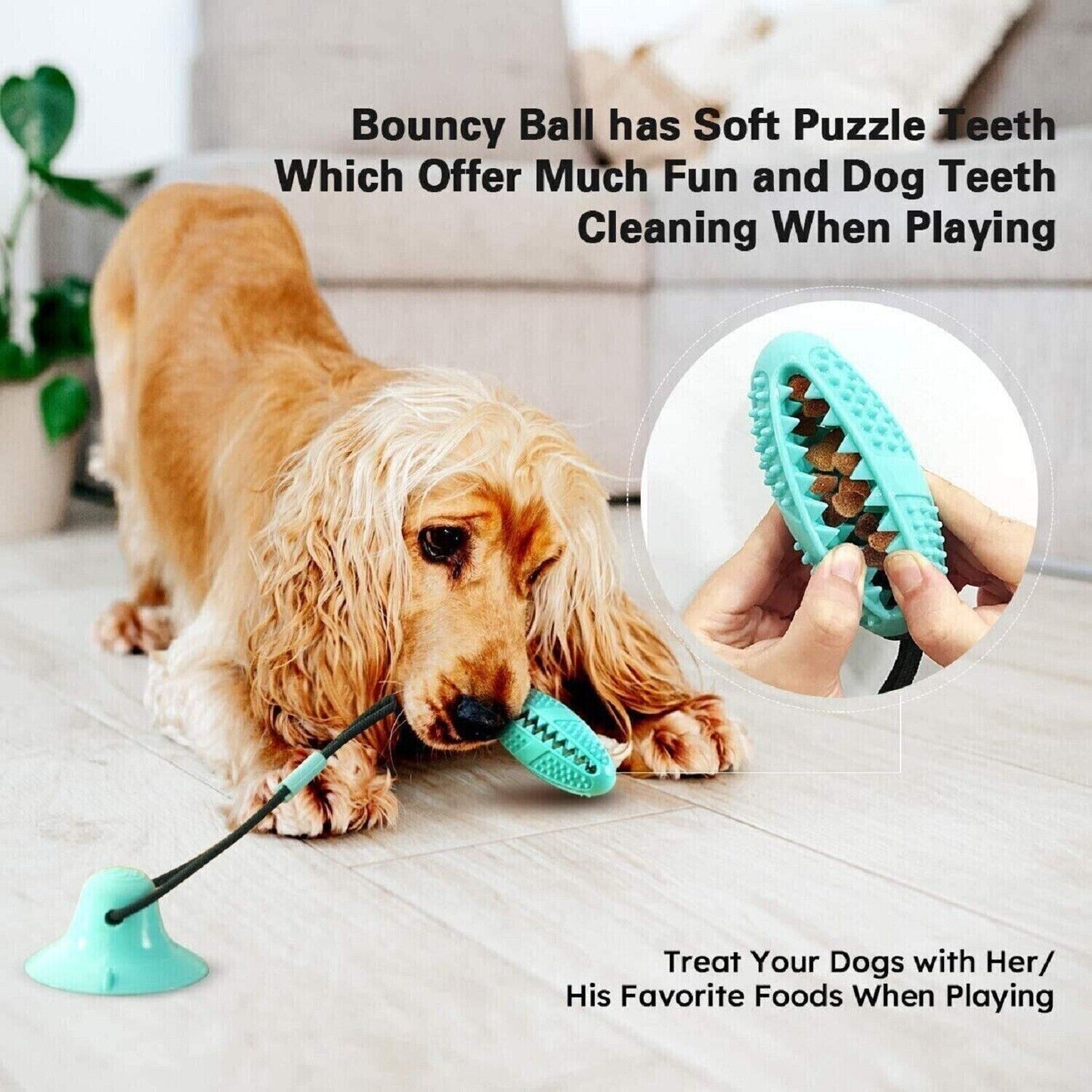 Pet Puppy Molar Bite Toy Suction Cup Tug Rope Ball Dog Tooth Cleaning Chew Toys