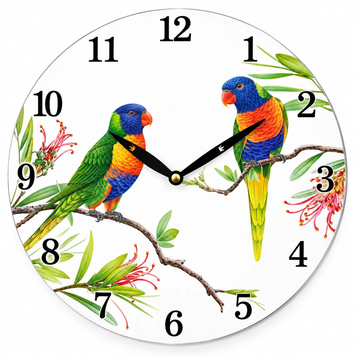 28.8cm Wall Clock Australian Birds Animal Wildlife MDF Round Home Decor