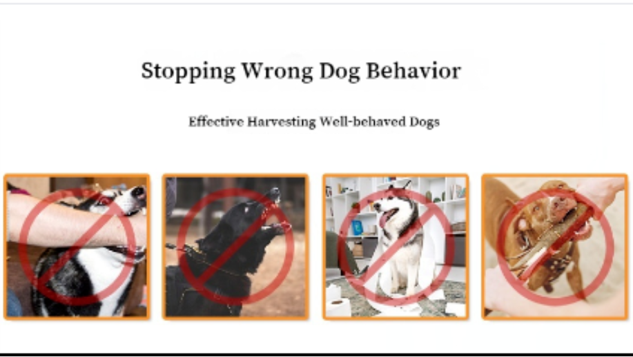 Dual Probe Ultrasonic Dog Repeller Anti-barking Device High Power Expeller