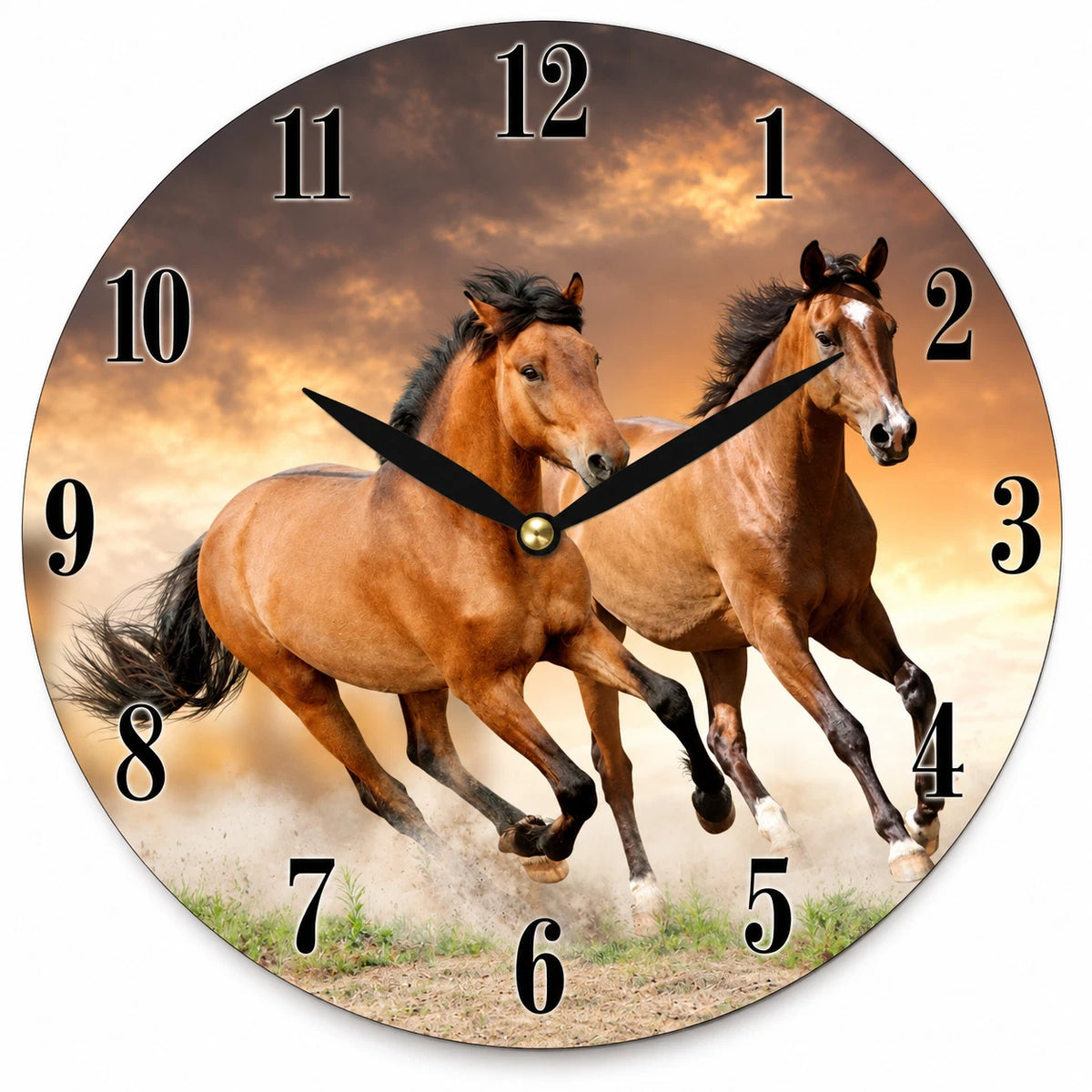 28.8cm Wall Clock Australian Birds Animal Wildlife MDF Round Home Decor
