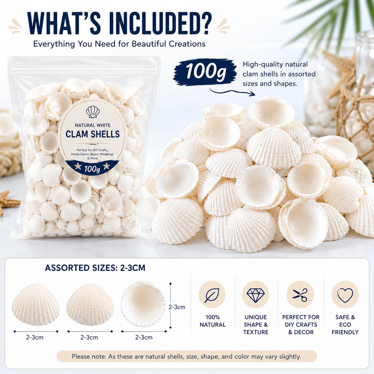 2 Pack White Clam Seashells Shells Craft Jewelery Beads Aquarium Fish Tank Decor 100g Each