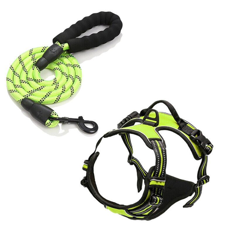 Explosion-proof Punch Dog Chest Strap Collar Buckle Lead Rope Reflective Vest