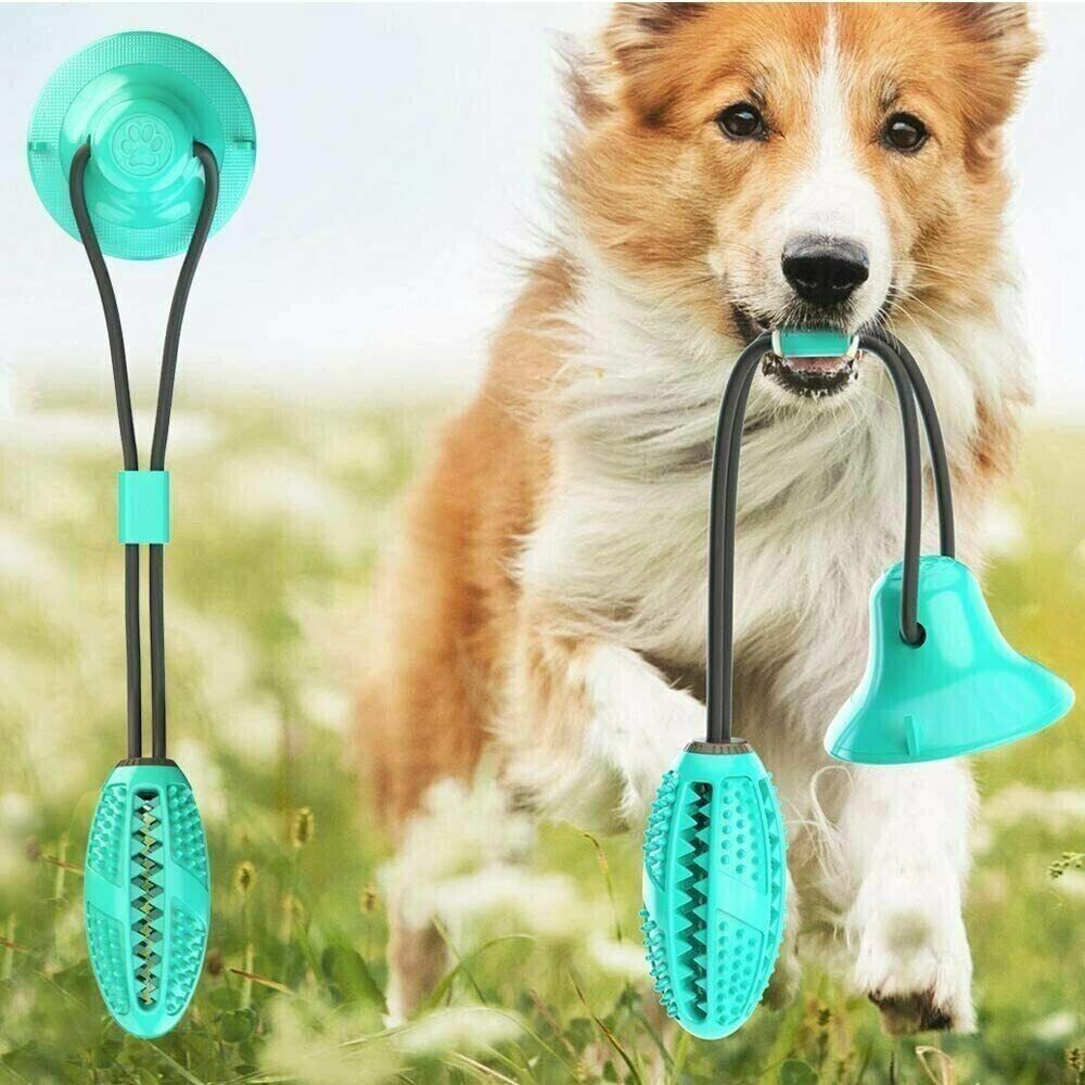 Pet Puppy Molar Bite Toy Suction Cup Tug Rope Ball Dog Tooth Cleaning Chew Toys