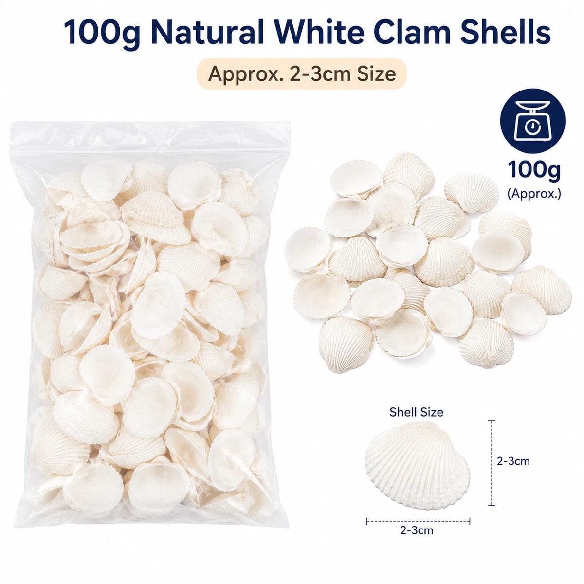 2 Pack White Clam Seashells Shells Craft Jewelery Beads Aquarium Fish Tank Decor 100g Each