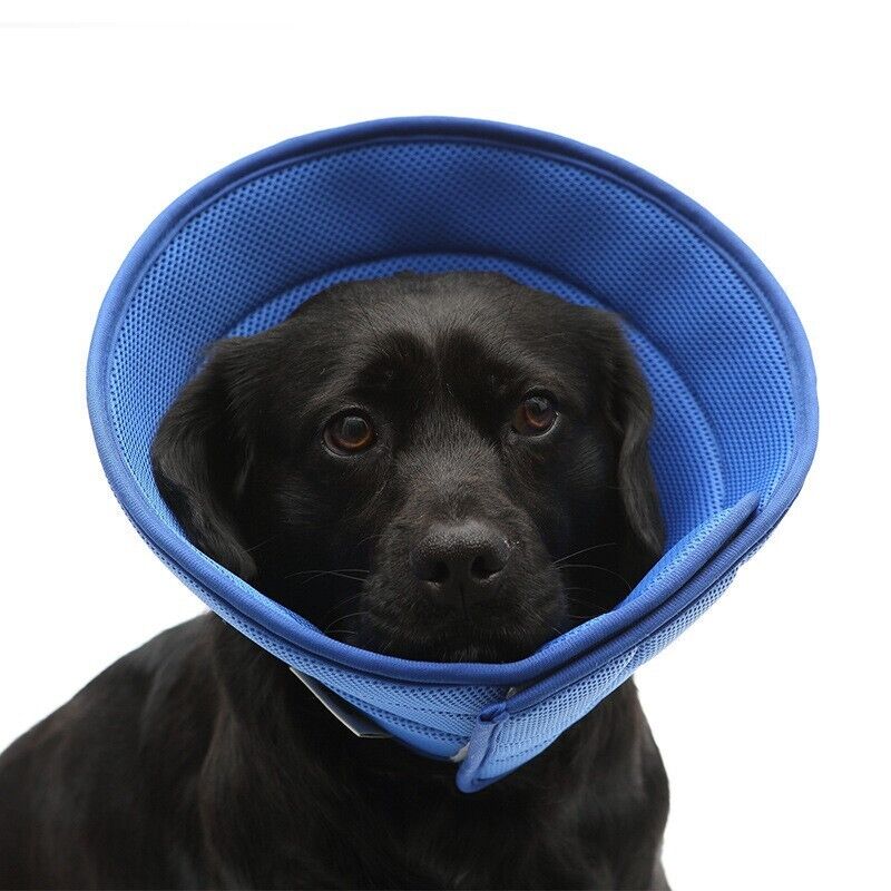 Pet Safety Elizabethan Neck Collar Cat Dog Anti-Bite Scratching Protective Care