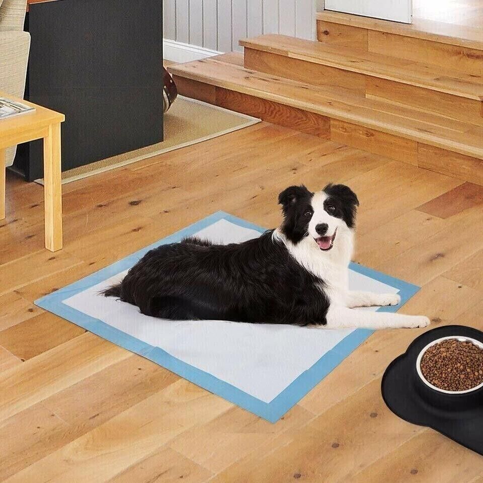 Puppy Pet Dog Toilet Training Pads Indoor Thick Super Absorbent Blue 4 Sizes