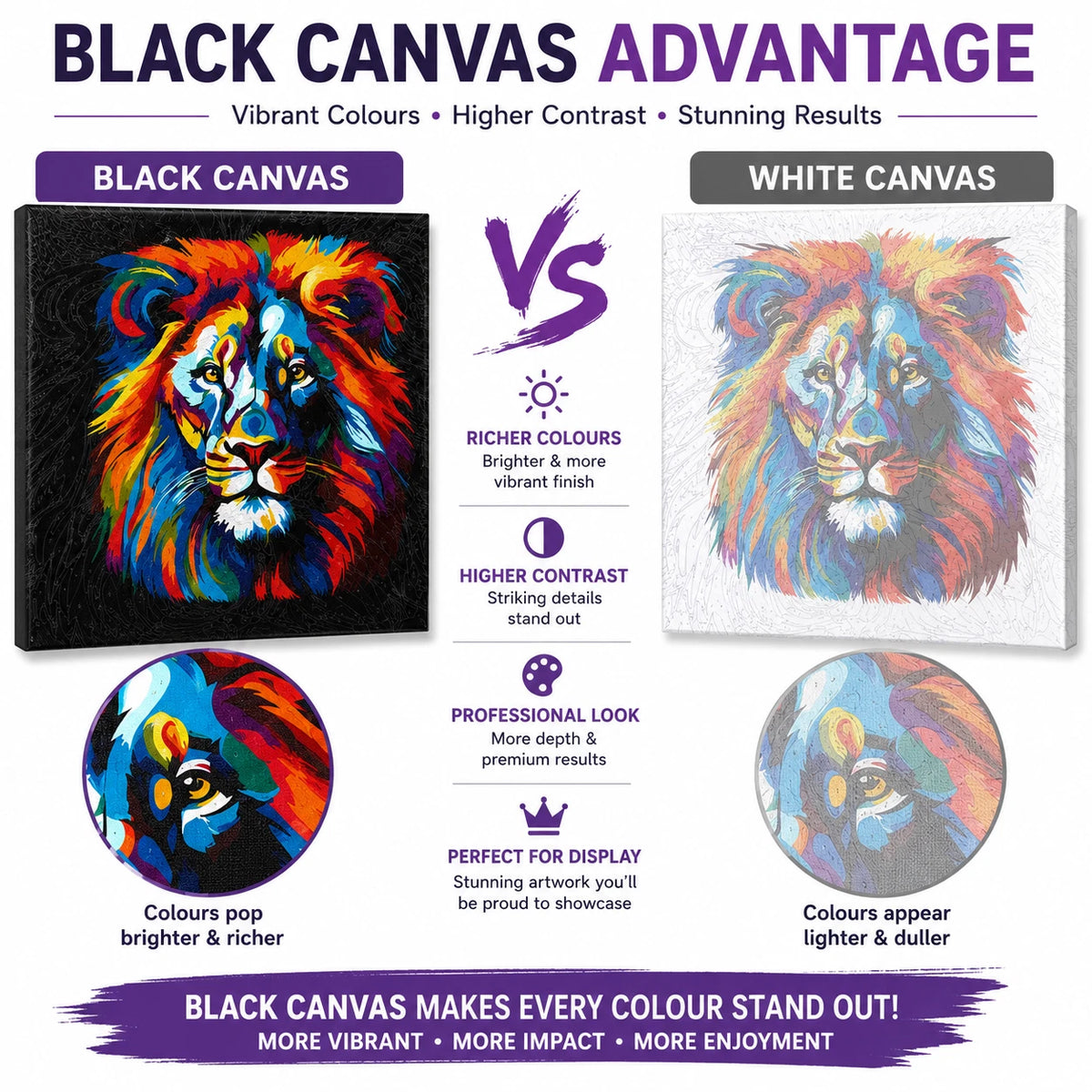 30x30cm Black Canvas Paint By Number Lion Kit DIY Acrylic Painting Art Gift