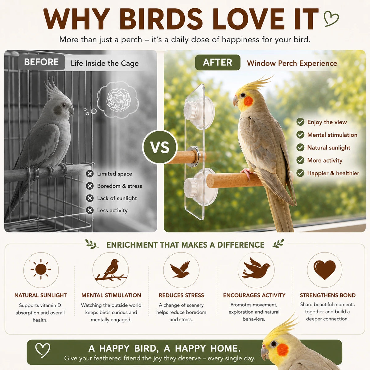 Natural Wood Bird Window Perch 25cm Suction Cup Seat Stand For Budgie Cockatiel