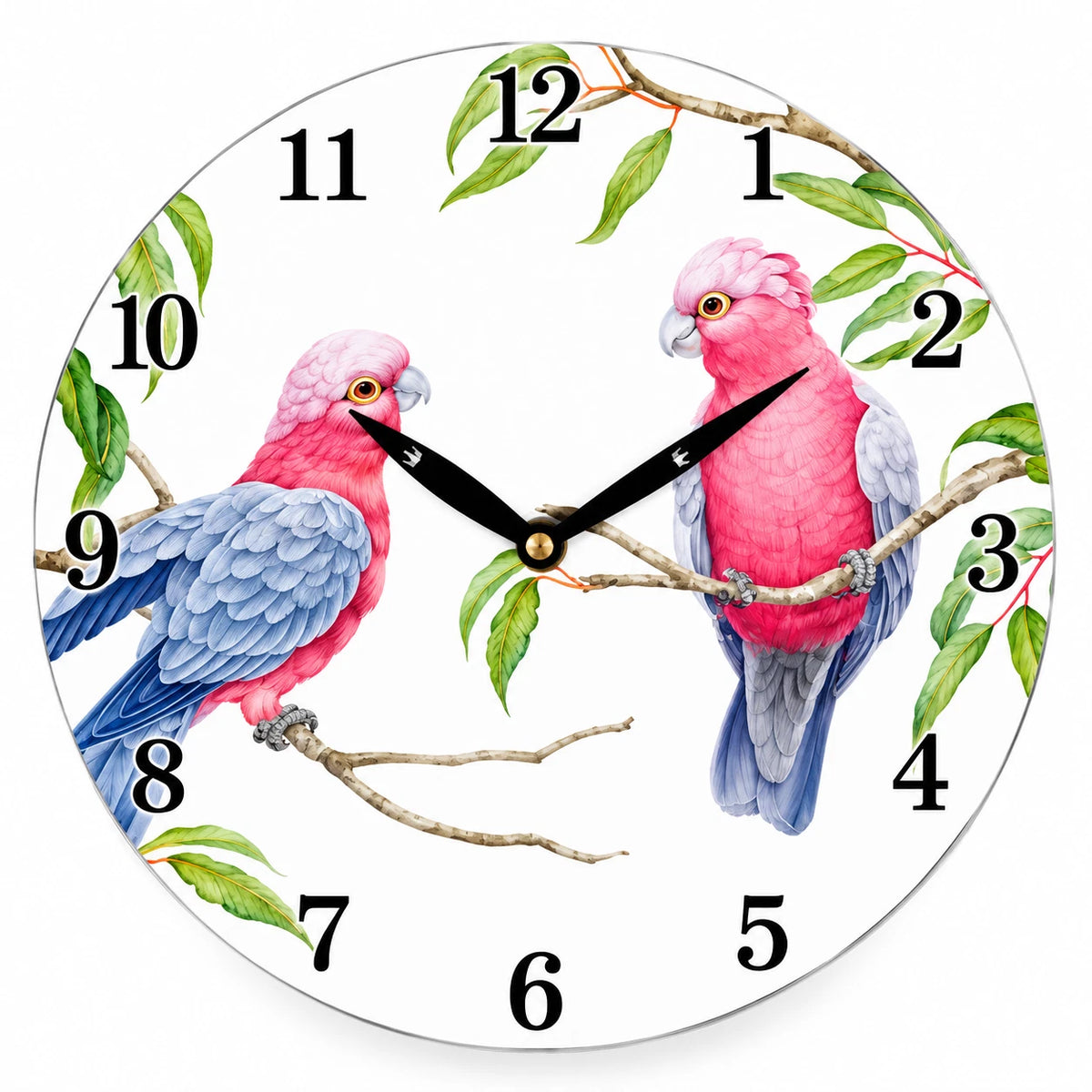 28.8cm Wall Clock Australian Birds Animal Wildlife MDF Round Home Decor