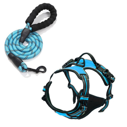 Explosion-proof Punch Dog Chest Strap Collar Buckle Lead Rope Reflective Vest