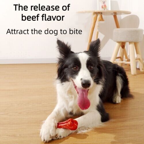 Molar Stick Pet Toy Bite-resistant Chew Simulation Bone Tooth Cleaning Dog Toy