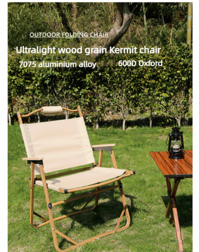 Outdoor Camping Picnic Ultralight Portable Folding Aluminum Barbecue Beach Chair