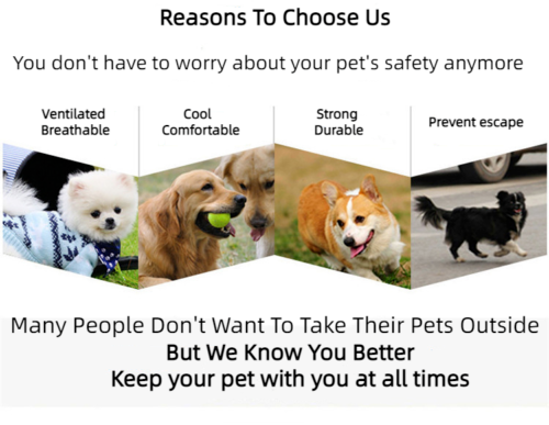 Pet Cat Dog Outing Travel Breathable Outing Crossbody Large Capacity Portable Bag