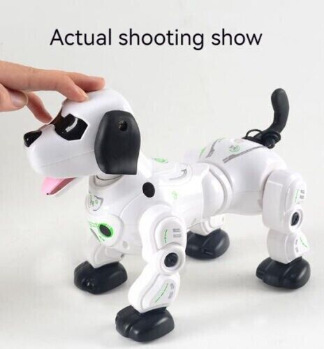 Children's Electric Watch Remote Control Smart Spray Dog Toy Touch Digital Pet