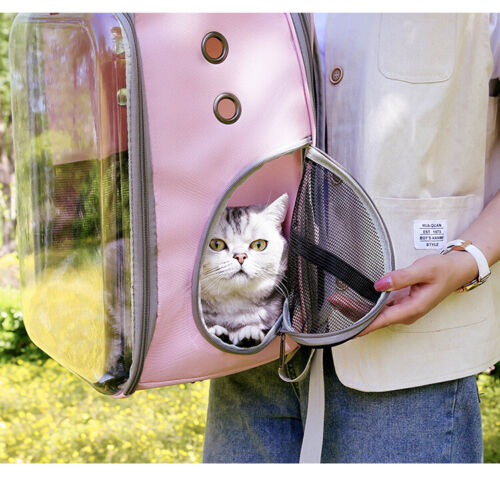Pet Outdoor Breathable Foldable Clear Large Space Backpack Handheld Shoulder Bag