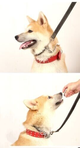 New Large And Medium Size Dog PU Leather Rivet Collar Punk Style Dog Collar