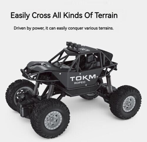 Charge High Speed Racing Alloy Remote Control Buggy Electric Light Car Toy