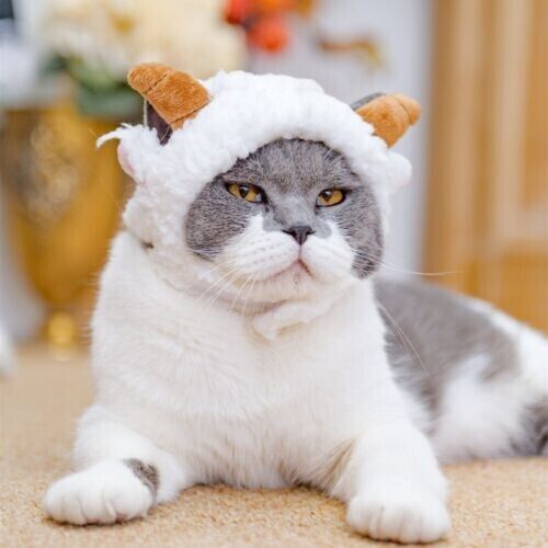 New Cartoon Animal Pet Hat Cat Dog Head Cover Cute Decorative Accessories