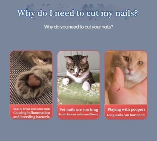 Pet Nail Clippers Dog Cat Nail Toe Claw CutterTrimmer Scissors Tool 2 Size