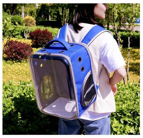 Pet Outdoor Breathable Foldable Clear Large Space Backpack Handheld Shoulder Bag