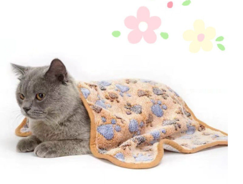 Pet Comfortable Four Seasons Warm Coral Velvet Blanket Dog Kennel Cat Kennel Mat