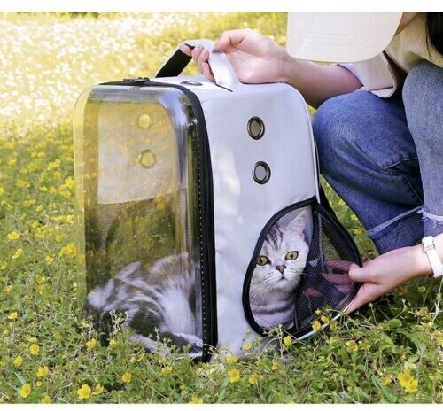 Pet Outdoor Breathable Foldable Clear Large Space Backpack Handheld Shoulder Bag