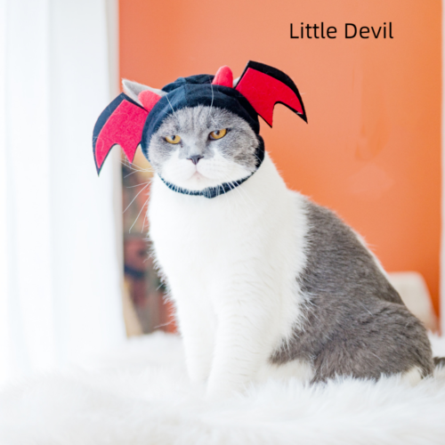 New Cartoon Animal Pet Hat Cat Dog Head Cover Cute Decorative Accessories