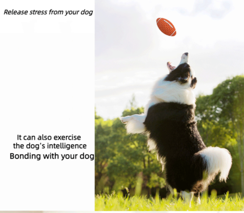 Bite-resistant Vocal Rugby Dog Ball Puzzle Boredom Grinding Interactive Pet Toy