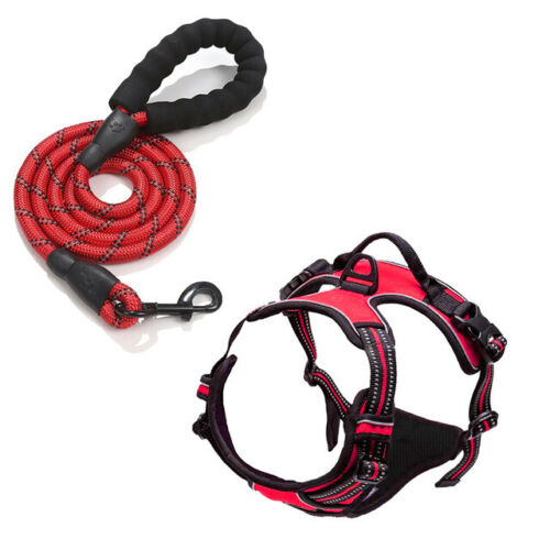 Explosion-proof Punch Dog Chest Strap Collar Buckle Lead Rope Reflective Vest