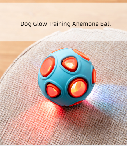 New Pet Toy Ringing Bell Bite Resistant Vocal Rubber Molar Training Ball