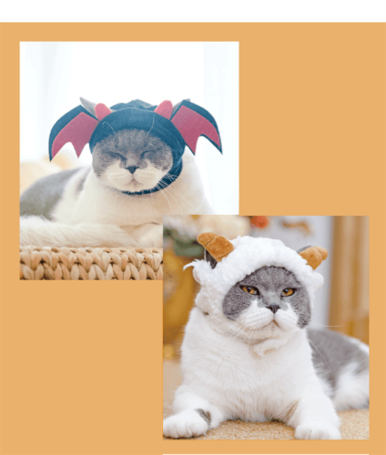 New Cartoon Animal Pet Hat Cat Dog Head Cover Cute Decorative Accessories