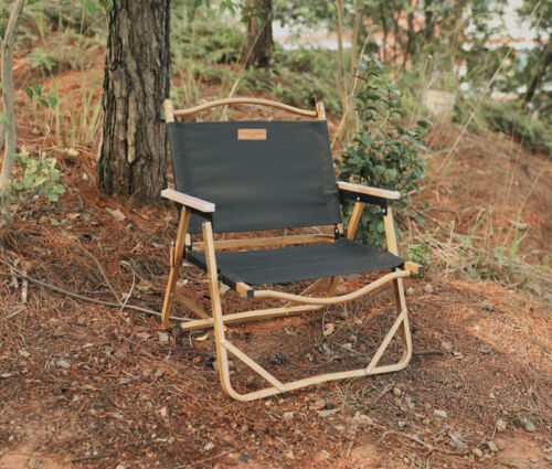 Outdoor Camping Picnic Ultralight Portable Folding Aluminum Barbecue Beach Chair