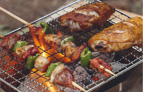 Outdoor Portable Folding Card Stove Stainless Steel Burner Grill BBQ Wood Burn