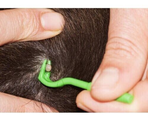 Ticks Remove Tool Flea Hooks Artifacts Fetch Dog Cat Repellent Scratch Lice Comb